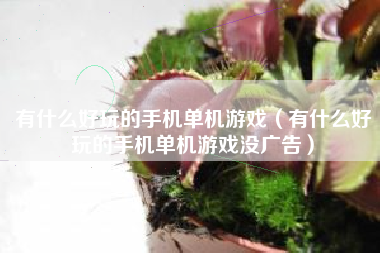 有什么好玩的手机单机游戏（有什么好玩的手机单机游戏没广告）
