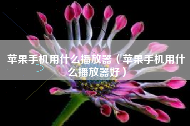 苹果手机用什么播放器（苹果手机用什么播放器好）