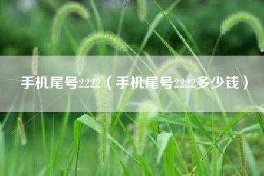 手机尾号2222（手机尾号2222多少钱）