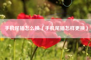 手机尾插怎么换（手机尾插怎样更换）