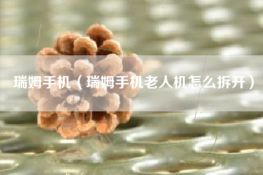 瑞姆手机（瑞姆手机老人机怎么拆开）