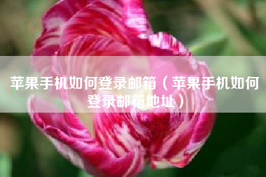 苹果手机如何登录邮箱（苹果手机如何登录邮箱地址）