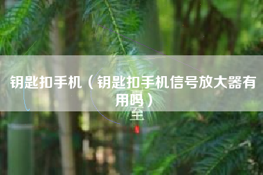 钥匙扣手机（钥匙扣手机信号放大器有用吗）