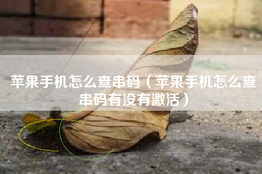 苹果手机怎么查串码（苹果手机怎么查串码有没有激活）