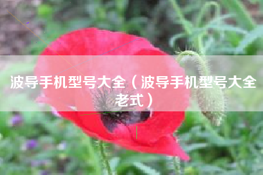 波导手机型号大全（波导手机型号大全老式）