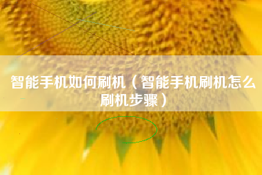 智能手机如何刷机（智能手机刷机怎么刷机步骤）