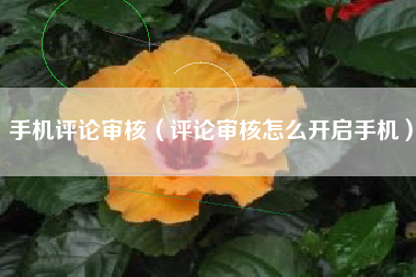 手机评论审核（评论审核怎么开启手机）