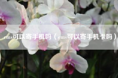 ems可以寄手机吗（ems可以寄手机卡吗）