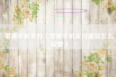 苹果手机支付（苹果手机支付面容怎么设置）