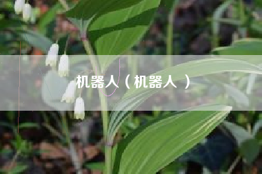 机器人（机器人 ）