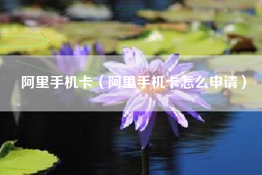 阿里手机卡（阿里手机卡怎么申请）
