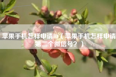 苹果手机怎样申请ID（苹果手机怎样申请第二个微信号？）