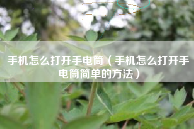 手机怎么打开手电筒（手机怎么打开手电筒简单的方法）