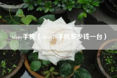 vivoy手机（vivoy78手机多少钱一台）