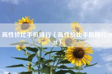 高性价比手机排行（高性价比手机排行2024）