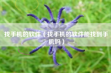 找手机的软件（找手机的软件能找到手机吗）