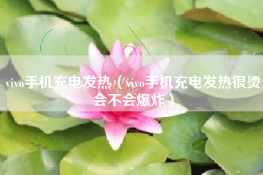 vivo手机充电发热（vivo手机充电发热很烫会不会爆炸）