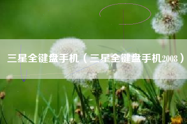三星全键盘手机（三星全键盘手机2008）