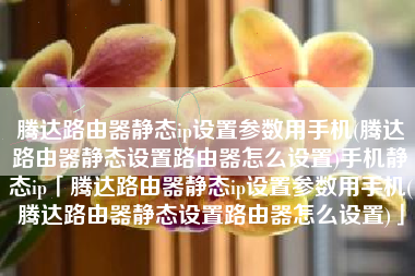 腾达路由器静态ip设置参数用手机(腾达路由器静态设置路由器怎么设置)手机静态ip「腾达路由器静态ip设置参数用手机(腾达路由器静态设置路由器怎么设置)」