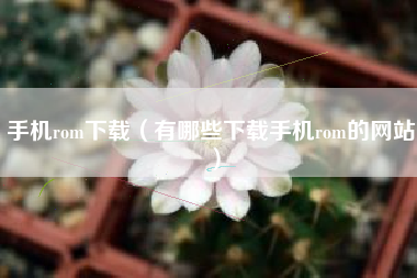 手机rom下载（有哪些下载手机rom的网站）