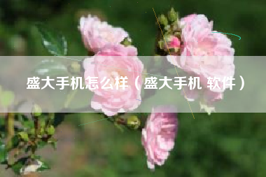 盛大手机怎么样（盛大手机 软件）