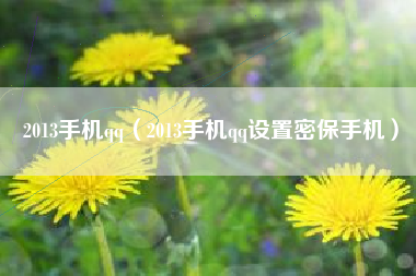2013手机qq（2013手机qq设置密保手机）