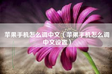 苹果手机怎么调中文（苹果手机怎么调中文设置）