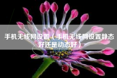 手机无线网设置（手机无线网设置静态好还是动态好）