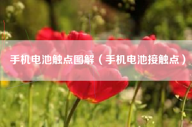 手机电池触点图解（手机电池接触点）