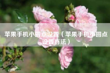 苹果手机小圆点设置（苹果手机小圆点设置方法）