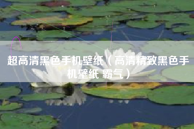 超高清黑色手机壁纸（高清精致黑色手机壁纸 霸气）