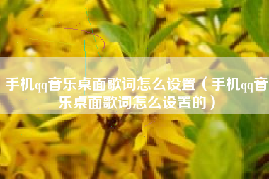 手机qq音乐桌面歌词怎么设置（手机qq音乐桌面歌词怎么设置的）