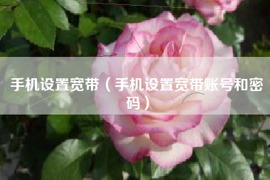 手机设置宽带（手机设置宽带账号和密码）