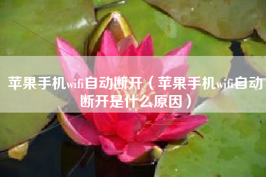 苹果手机wifi自动断开（苹果手机wifi自动断开是什么原因）
