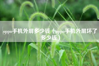 oppo手机外屏多少钱（oppo手机外屏坏了多少钱）