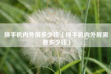 换手机内外屏多少钱（换手机内外屏需要多少钱）