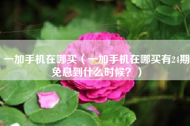 一加手机在哪买（一加手机在哪买有24期免息到什么时候？）