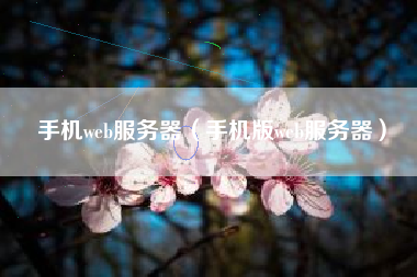手机web服务器（手机版web服务器）
