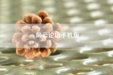 风云论坛手机版
