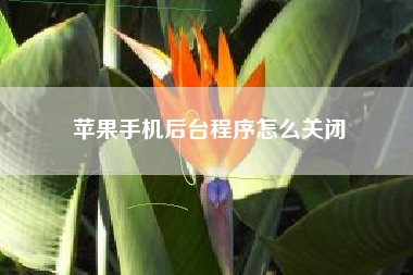 苹果手机后台程序怎么关闭