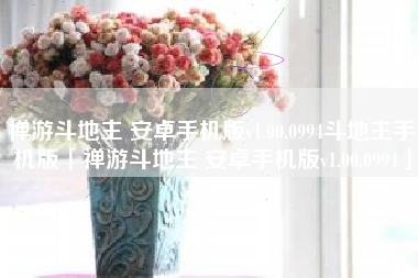 禅游斗地主 安卓手机版v1.00.0994斗地主手机版「禅游斗地主 安卓手机版v1.00.0994」