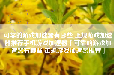 可靠的游戏加速器有哪些 正规游戏加速器推荐手机游戏加速器「可靠的游戏加速器有哪些 正规游戏加速器推荐」