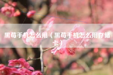 黑莓手机怎么用（黑莓手机怎么用存储卡）