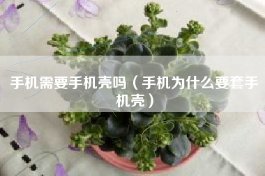手机需要手机壳吗（手机为什么要套手机壳）