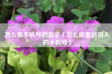 怎么查手机号的名字（怎么能查到别人的手机号）