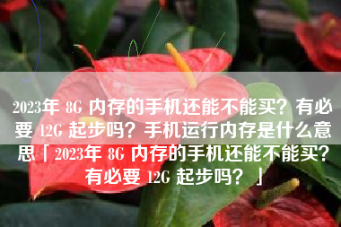2023年 8G 内存的手机还能不能买？有必要 12G 起步吗？手机运行内存是什么意思「2023年 8G 内存的手机还能不能买？有必要 12G 起步吗？」