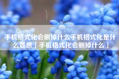 手机格式化会删掉什么手机格式化是什么意思「手机格式化会删掉什么」
