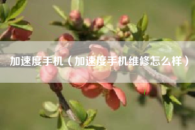 加速度手机（加速度手机维修怎么样）