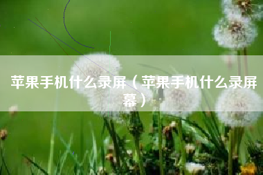 苹果手机什么录屏（苹果手机什么录屏幕）