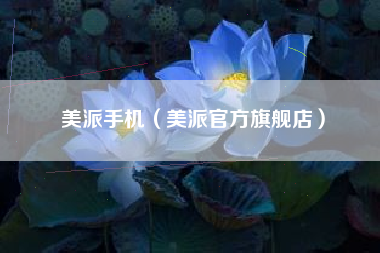 美派手机（美派官方旗舰店）